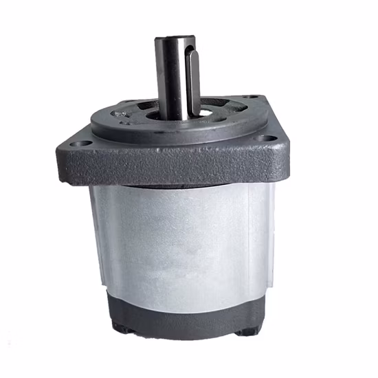 Pompes hydrauliques Caproni / Parker, pompe à engrenages en aluminium à faible bruit Cbt E3