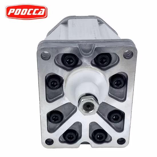 Pompe Marzocchi Ghp 2A Pompe à engrenages Ghp2a-D-22-Fg Pression de la pompe haute pression 28MPa~31MPa